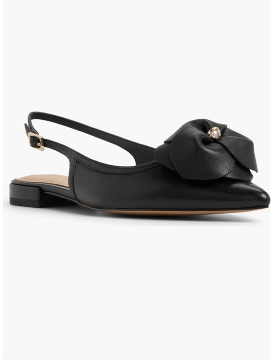 Ted Baker London Shoes - NWOB Ted Baker London Lili Rose Pointed Toe Slingbacks Flat. Size 6.5